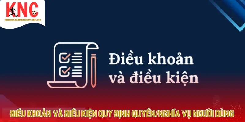 Người dùng nghiên cứu điều khoản điều kiện trước khi sử dụng các tính năng trên website