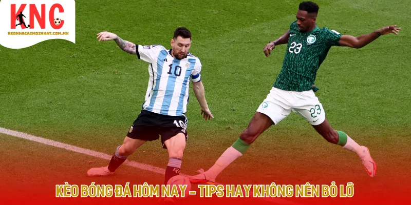 Hệ thống dữ liệu tổng hợp kèo bóng đá hôm nay cho người dùng trực tuyến