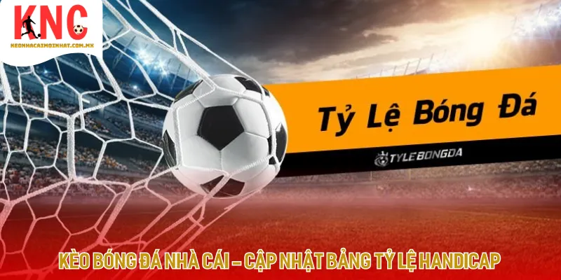 Hệ thống phân tích dữ liệu chuyên sâu để thiết lập bảng tỷ lệ kèo bóng đá nhà cái