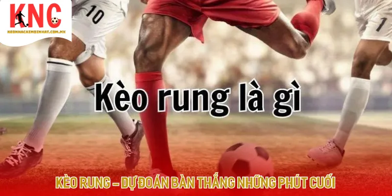 Giới thiệu kèo rung trong cá độ bóng đá nói chung